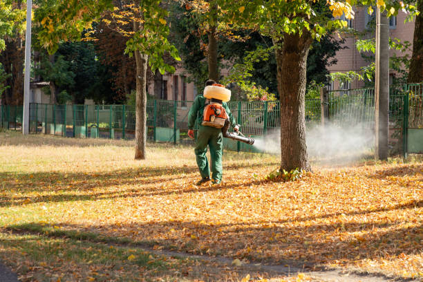 Pest Control for Restaurants in Greenbelt, MD