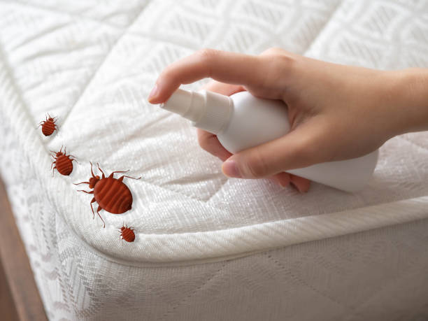 Best Insect Control  in Greenbelt, MD