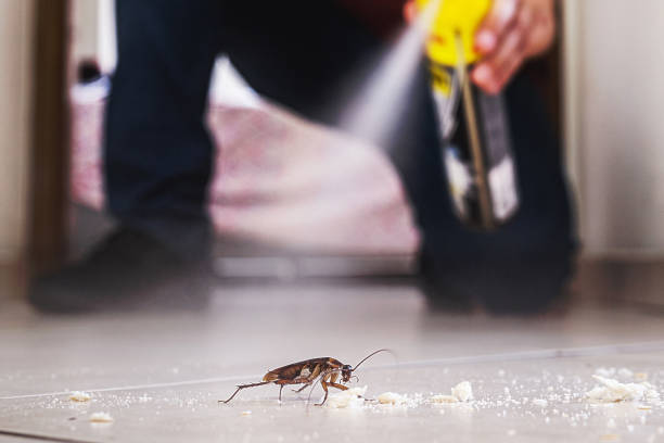 Best Best Pest Control Companies  in Greenbelt, MD