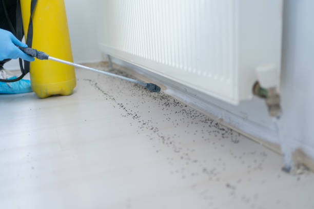 Best Commercial Pest Control Services  in Greenbelt, MD