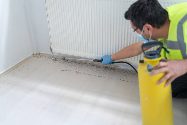 Best Best Pest Control Companies  in Greenbelt, MD